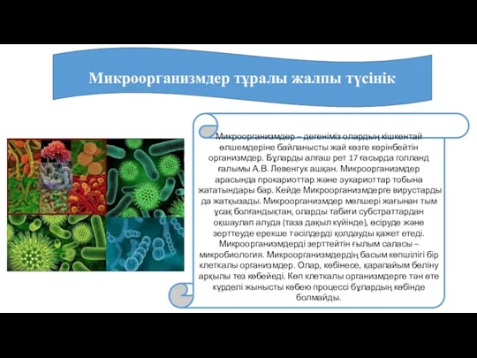 Микроорганизмдер тұралы жалпы түсінік Микроорганизмдер – дегеніміз олардың кішкентай өлшемдеріне