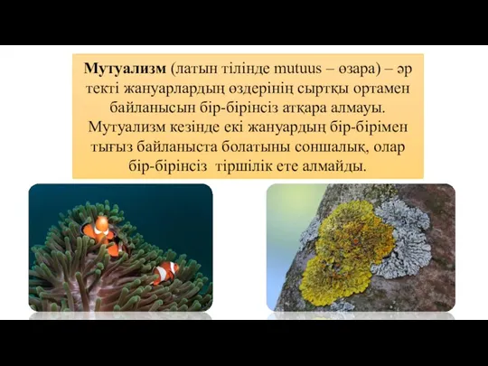 Мутуализм (латын тілінде mutuus – өзара) – әр текті жануарлардың