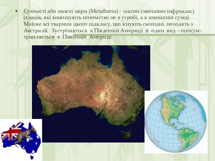 Сумчасті або нижчі звіри (Metatheria) - таксон (звичайно інфраклас) ссавців,