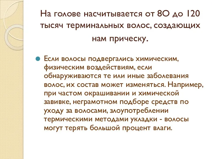 На голове насчитывается от 8О до 120 тысяч терминальных волос,