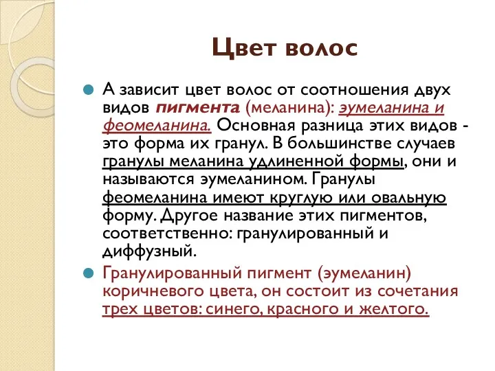 Цвет волос А зависит цвет волос от соотношения двух видов