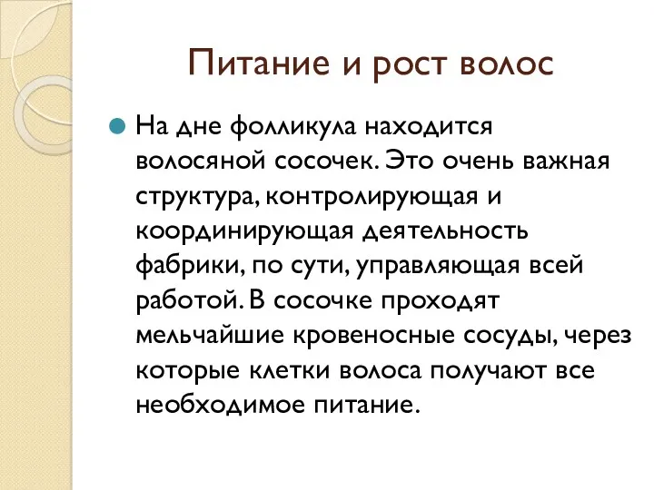 Питание и рост волос На дне фолликула находится волосяной сосочек.