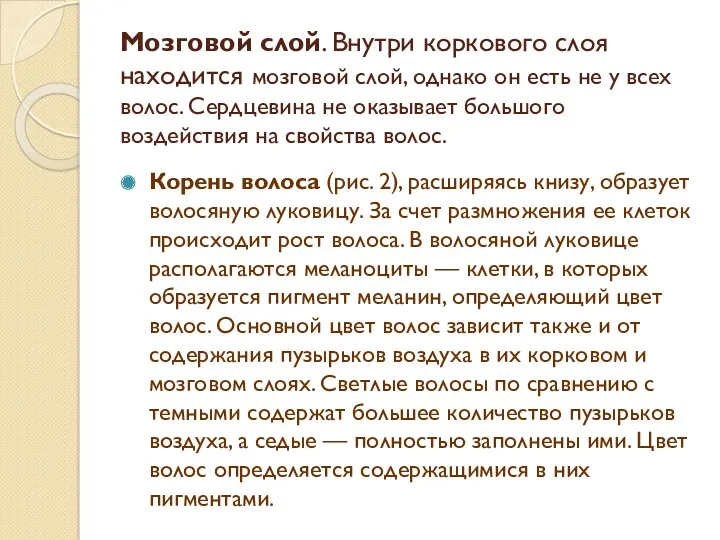 Мозговой слой. Внутри коркового слоя находится мозговой слой, однако он