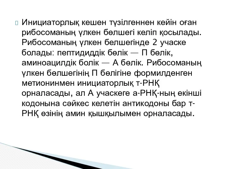 Инициаторлық кешен түзілгеннен кейін оған рибосоманың үлкен бөлшегі келіп қосылады.