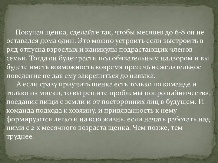 Покупая щенка, сделайте так, чтобы месяцев до 6-8 он не