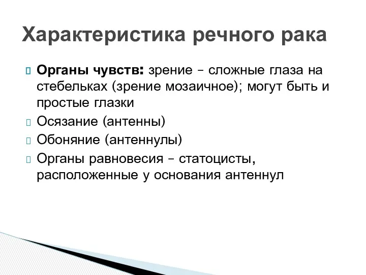 Органы чувств: зрение – сложные глаза на стебельках (зрение мозаичное);