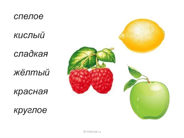 © InfoUrok.ru спелое кислый сладкая жёлтый красная круглое