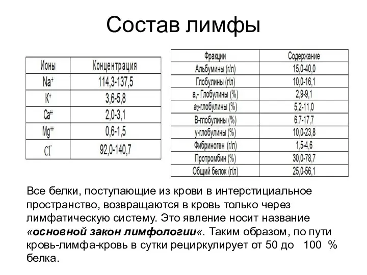 Состав лимфы Все белки, поступающие из крови в интерстициальное пространство,