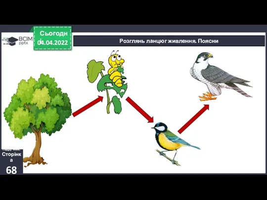 04.04.2022 Сьогодні Розглянь ланцюг живлення. Поясни Підручник. Сторінка 68