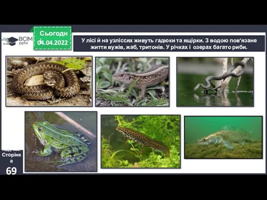 04.04.2022 Сьогодні У лісі й на узліссях живуть гадюки та