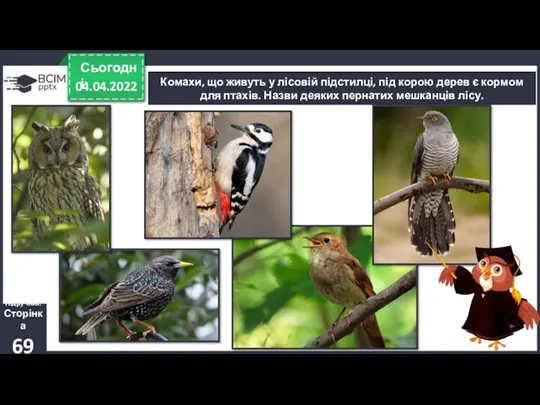 04.04.2022 Сьогодні Комахи, що живуть у лісовій підстилці, під корою