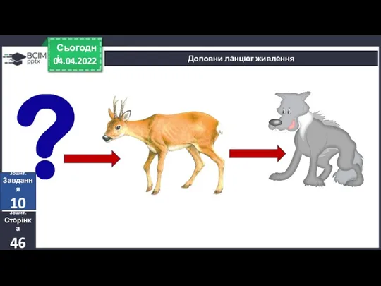 04.04.2022 Сьогодні Доповни ланцюг живлення Зошит. Сторінка 46 Зошит. Завдання 10