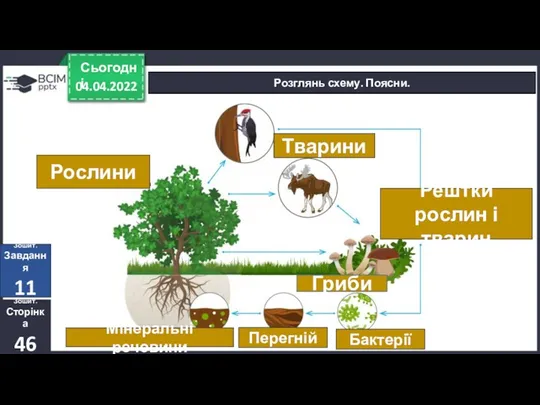 04.04.2022 Сьогодні Розглянь схему. Поясни. Рослини Тварини Рештки рослин і