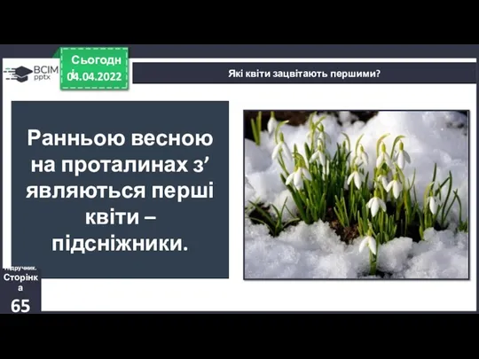 04.04.2022 Сьогодні Які квіти зацвітають першими? Ранньою весною на проталинах