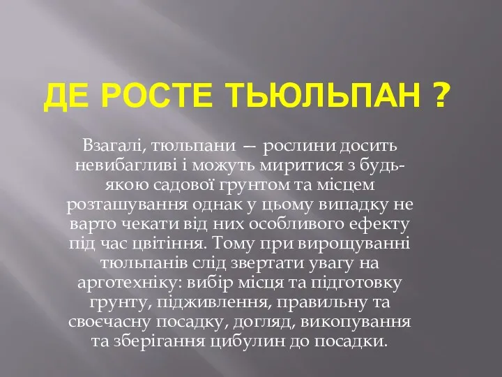 ДЕ РОСТЕ ТЬЮЛЬПАН ? Взагалі, тюльпани — рослини досить невибагливі