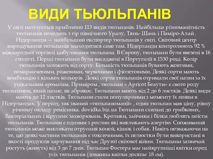 ВИДИ ТЬЮЛЬПАНІВ У світі налічується приблизно 113 видів тюльпанів. Найбільша