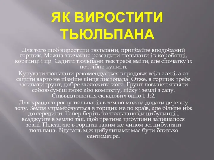 ЯК ВИРОСТИТИ ТЬЮЛЬПАНА Для того щоб виростити тюльпани, придбайте вподобаний