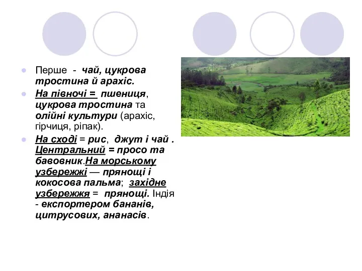 Перше - чай, цукрова тростина й арахіс. На півночі = пшениця, цукрова тростина