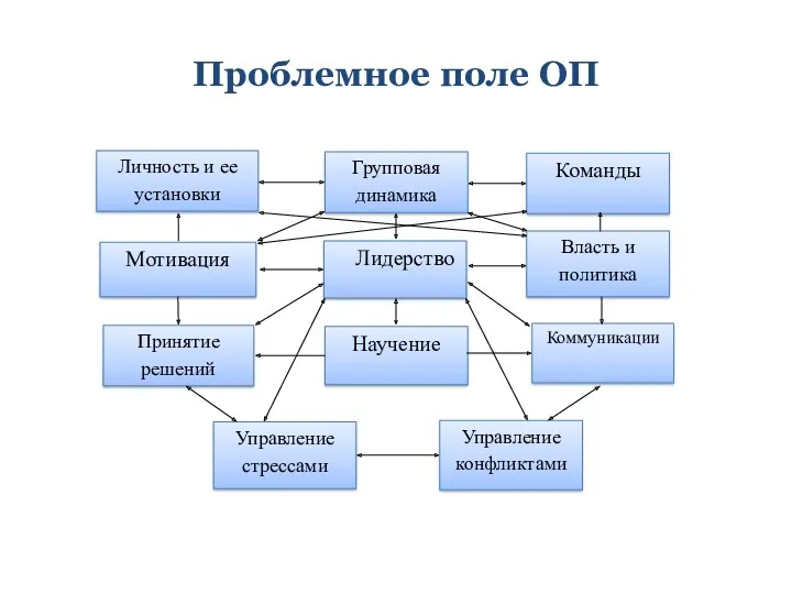 Проблемное поле ОП