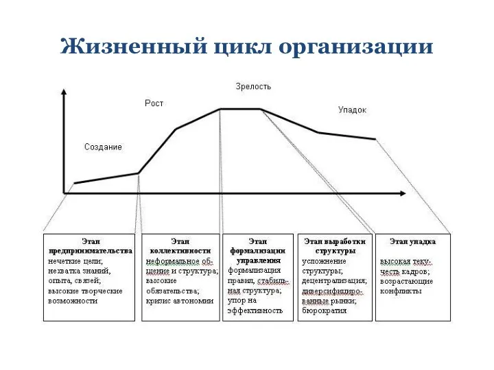 Жизненный цикл организации