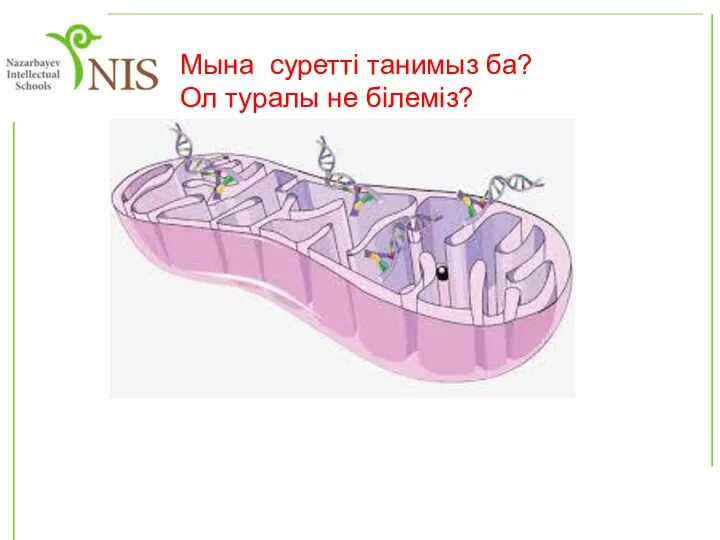 Мына суретті танимыз ба? Ол туралы не білеміз?