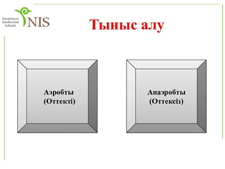 Тыныс алу Аэробты (Оттекті) Анаэробты (Оттексіз)