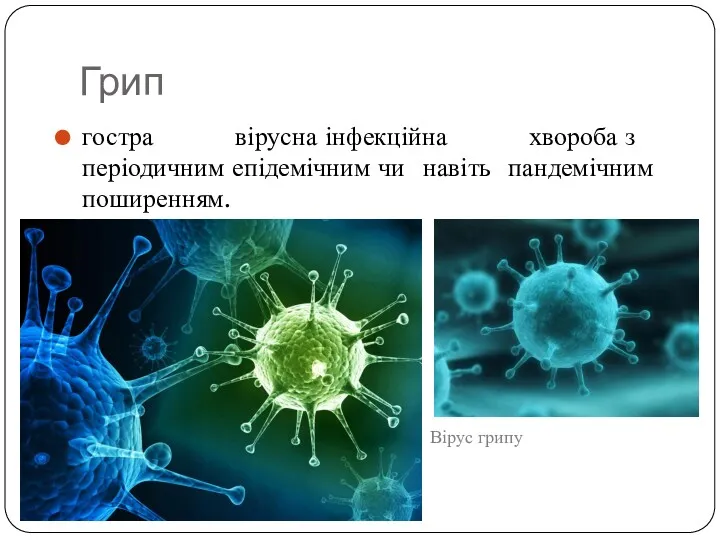 Грип гостра вірусна інфекційна хвороба з періодичним епідемічним чи навіть пандемічним поширенням. Вірус грипу