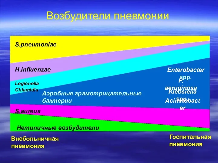 Возбудители пневмонии Внебольничная пневмония Госпитальная пневмония S.pneumoniae H.influenzae Legionella Chlamidia