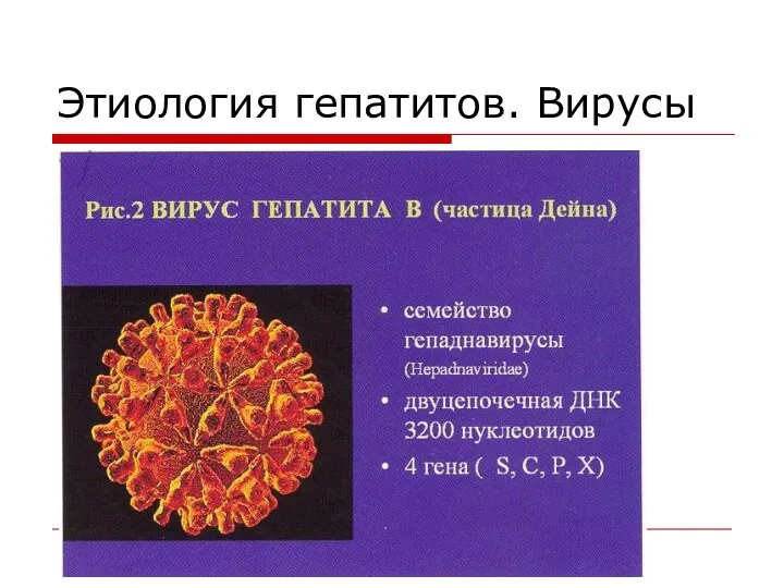 Этиология гепатитов. Вирусы