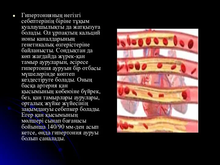 Гипертонияның негізгі себептерінің біріне тұқым қуалаушылықты да жатқызуға болады. Ол