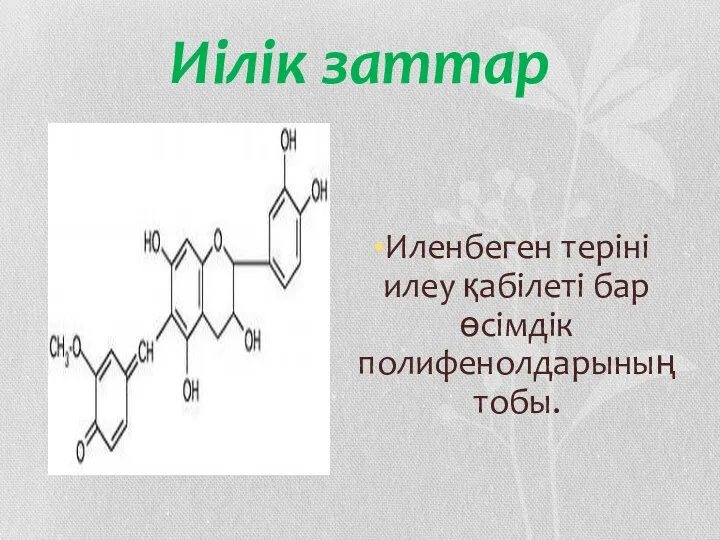 Иілік заттар Иленбеген теріні илеу қабілеті бар өсімдік полифенолдарының тобы.