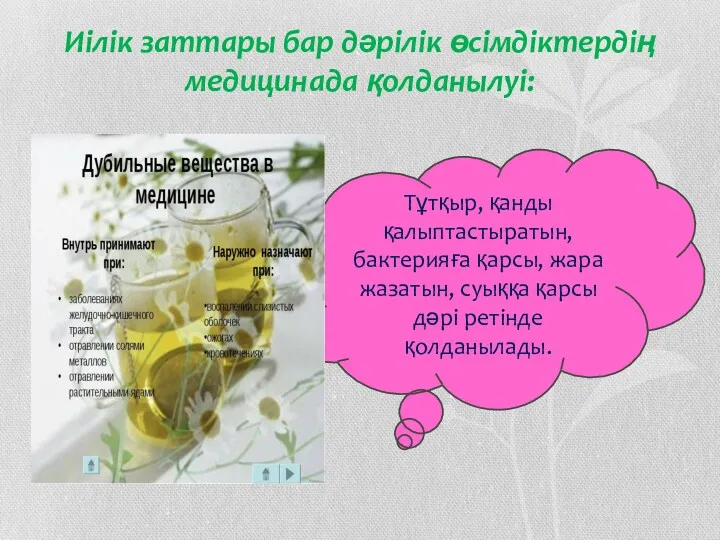 Иілік заттары бар дәрілік өсімдіктердің медицинада қолданылуі: Тұтқыр, қанды қалыптастыратын,