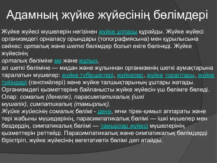 Адамның жүйке жүйесінің бөлімдері Жүйке жүйесі мүшелерін негізінен жүйке ұлпасы