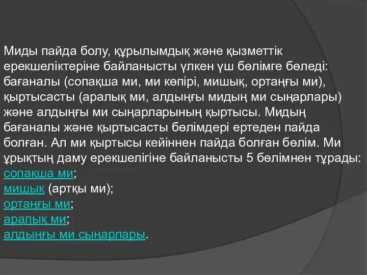 Миды пайда болу, құрылымдық және қызметтік ерекшеліктеріне байланысты үлкен үш