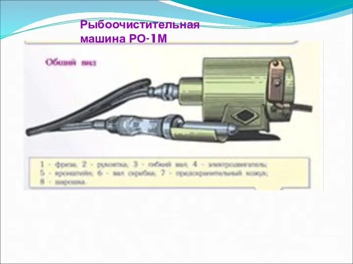 Рыбоочистительная машина РО-1М