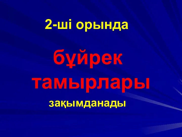 2-ші орында бұйрек тамырлары зақымданады