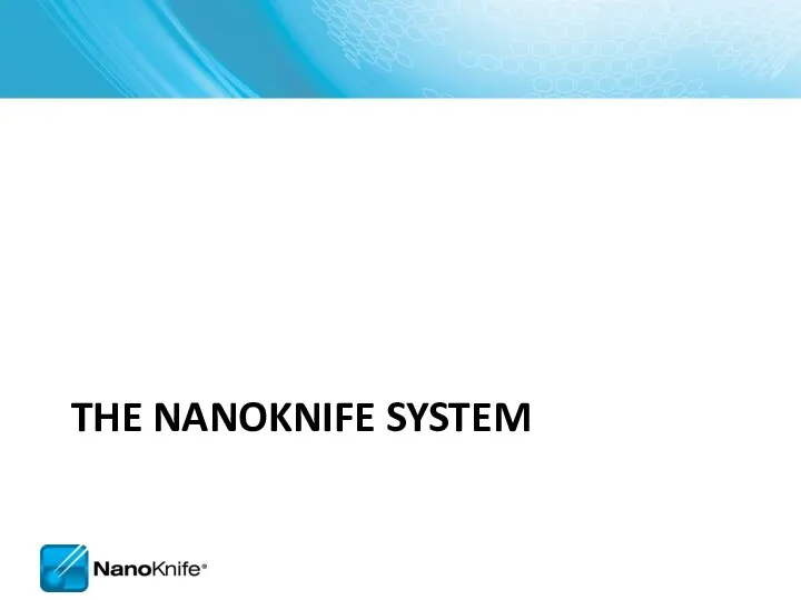 THE NANOKNIFE SYSTEM