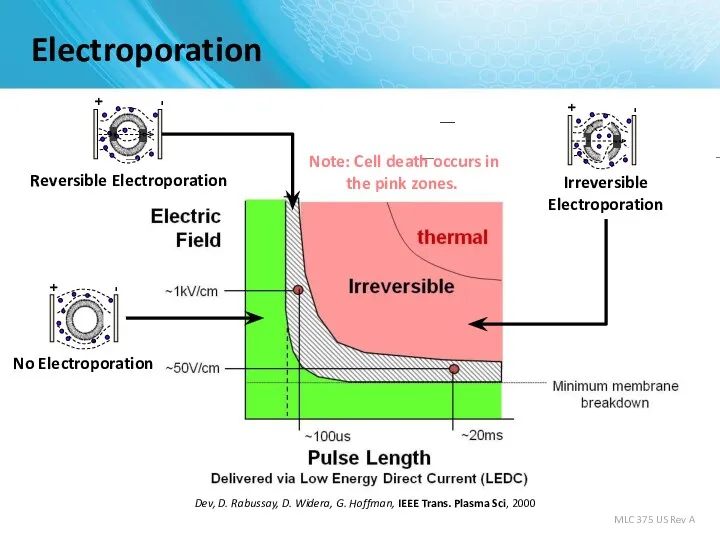 Electroporation S. Dev, D. Rabussay, D. Widera, G. Hoffman, IEEE