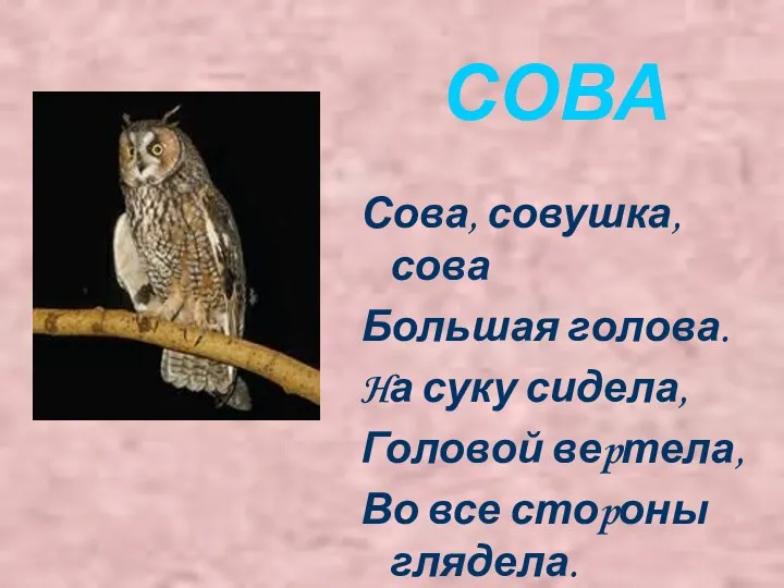 СОВА Сова, совушка, сова Большая голова. Hа суку сидела, Головой веpтела, Во все стоpоны глядела.