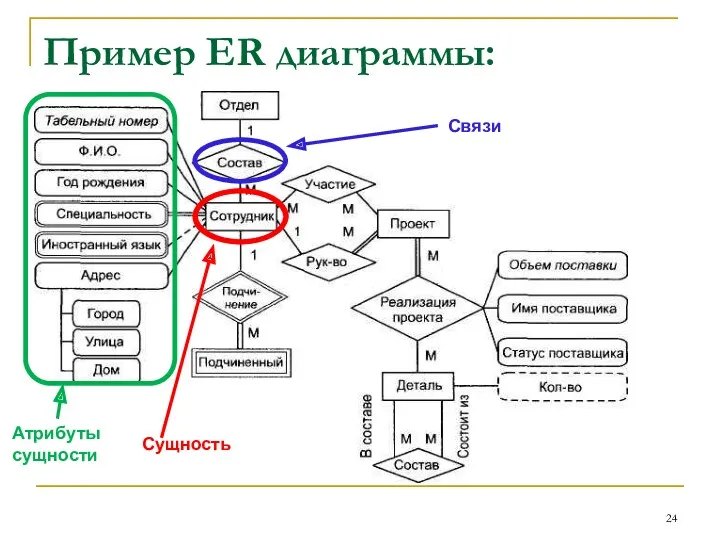 Пример ER диаграммы: Сущность Атрибуты сущности Связи