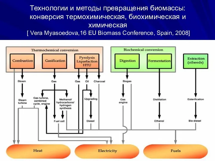 Технологии и методы превращения биомассы: конверсия термохимическая, биохимическая и химическая [ Vera Myasoedova,16