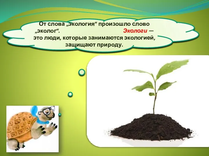 От слова „экология“ произошло слово „эколог“. Экологи — это люди, которые занимаются экологией, защищают природу.