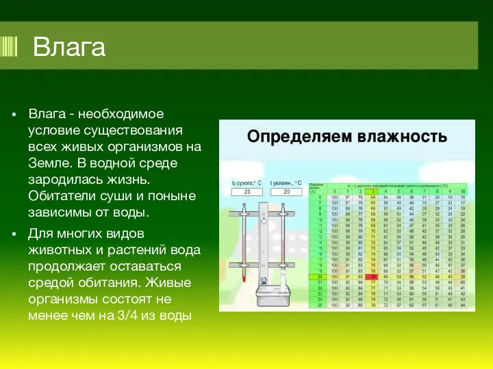 Влага Влага - необходимое условие существования всех живых организмов на