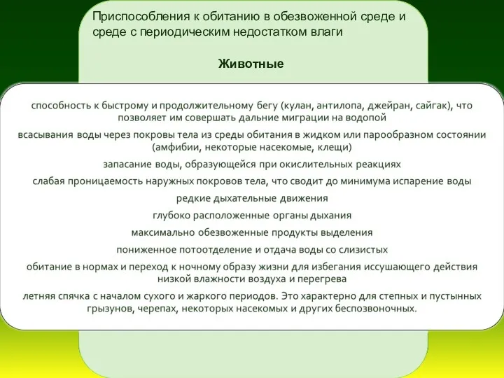 Приспособления к обитанию в обезвоженной среде и среде с периодическим недостатком влаги Животные