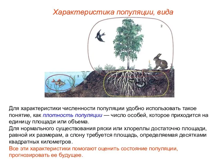 Для характеристики численности популяции удобно использовать такое понятие, как плотность