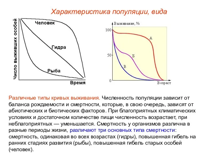 Различные типы кривых выживания. Численность популяции зависит от баланса рождаемости