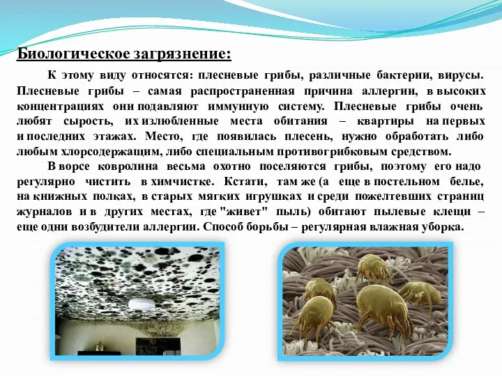 Биологическое загрязнение: К этому виду относятся: плесневые грибы, различные бактерии,