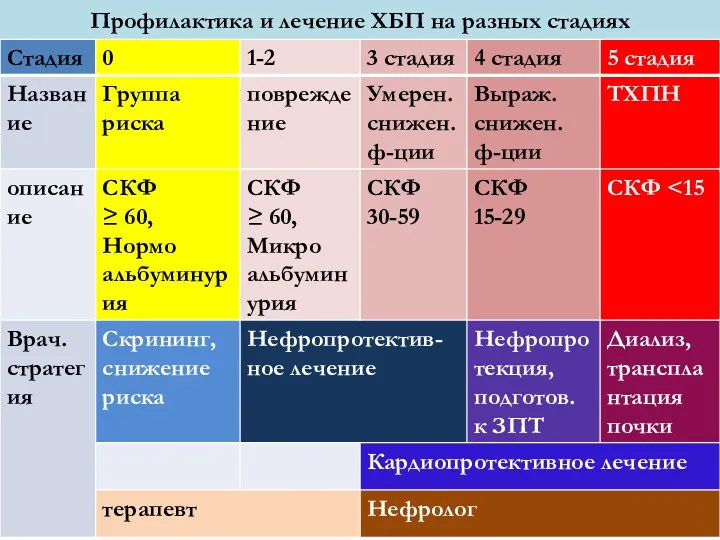 Профилактика и лечение ХБП на разных стадиях