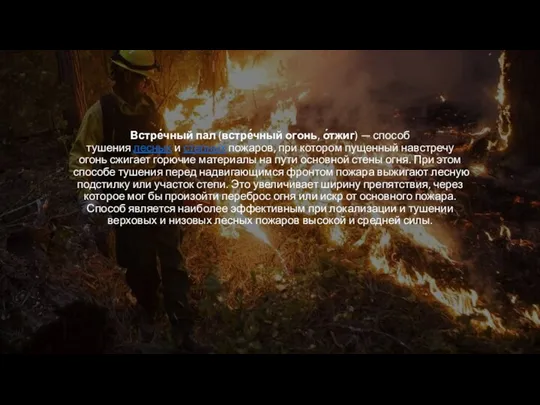 Встре́чный пал (встре́чный огонь, о́тжиг) — способ тушения лесных и