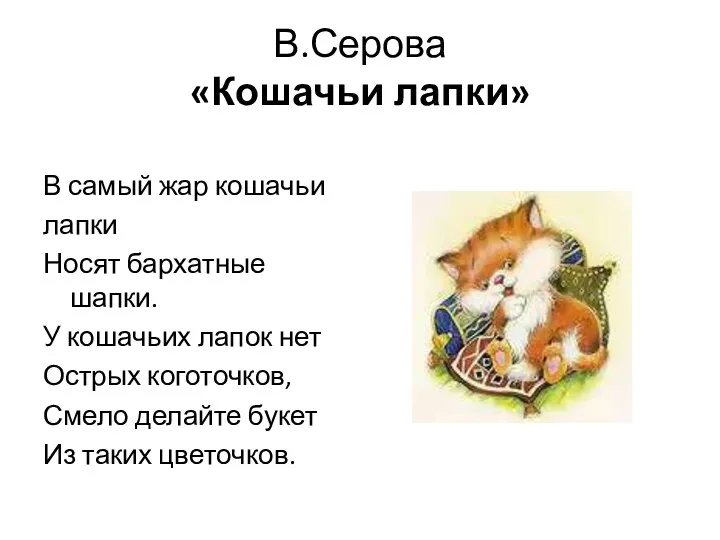 В.Серова «Кошачьи лапки» В самый жар кошачьи лапки Носят бархатные шапки. У кошачьих